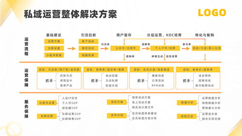軟件運(yùn)營(yíng)服務(wù)公司產(chǎn)品介紹PPT模板