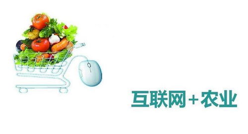 互聯網賦能農業 產銷新生態與未來展望